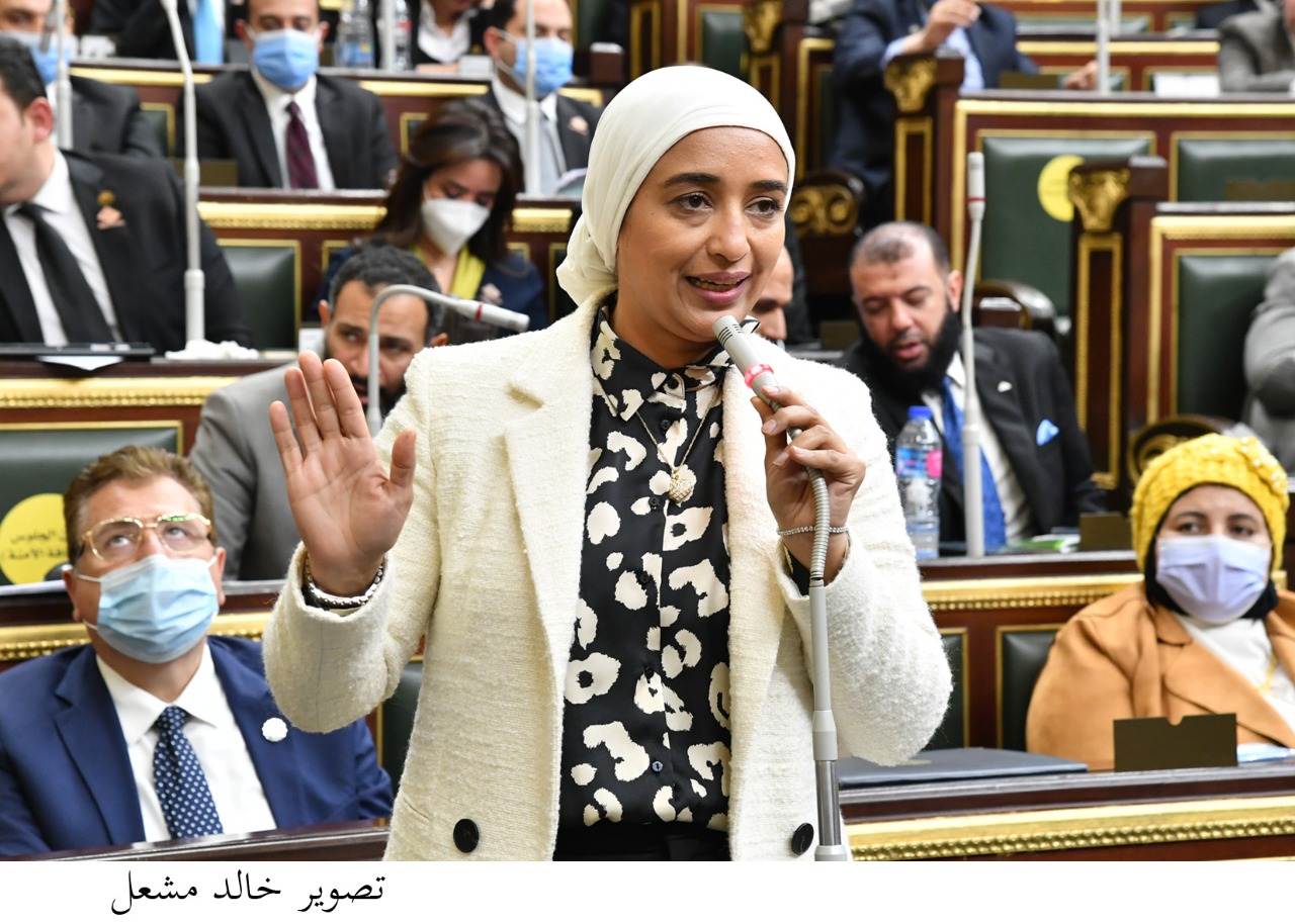 النائبة أميرة أبوشقة