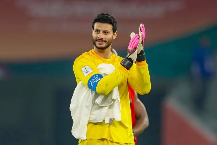 محمد الشناوي