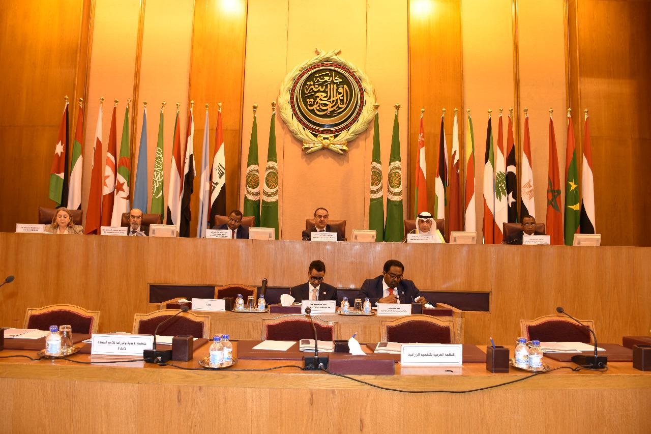 المجلس الوزاري العربي للمياه