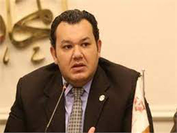 النائب أحمد مقلد عضو مجلس النواب 