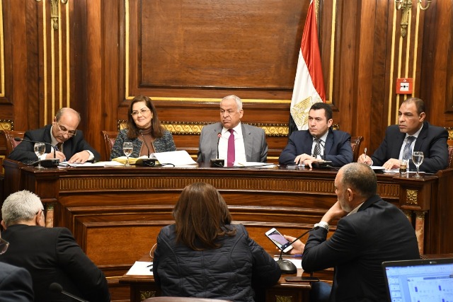 وزيرة التخطيط: 99,5 مليار جنيه قيمة استثمارات قطاع الصناعة خلال 2018/2019 
