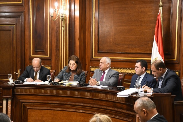 وزيرة التخطيط: 99,5 مليار جنيه قيمة استثمارات قطاع الصناعة خلال 2018/2019 