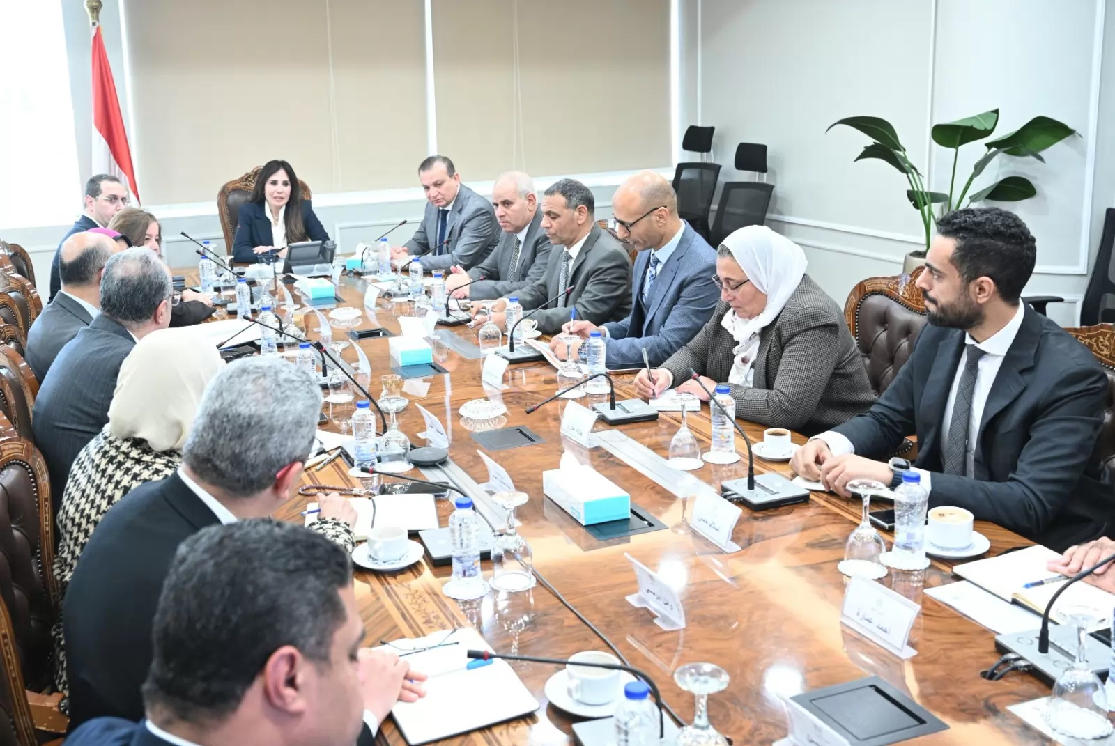 المهندسة راندة المنشاوي