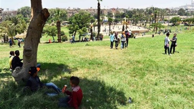 صورة أرشفية