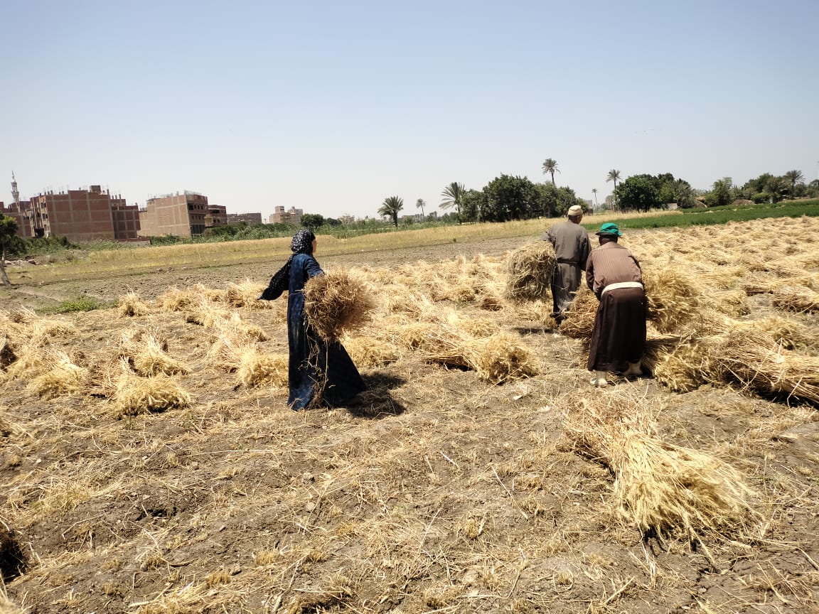 السيطرة على حريق بالهضبة ورفع كفاءة وتطوير شارع الهرم