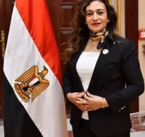 نيفين فارس عضو مجلس النواب