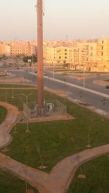 جهاز الشروق يكشف عن أكبر عملية زراعة وتجميل بالمدينة.. صور وأرقام