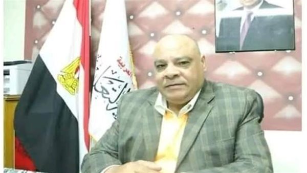 سيد عبدالعزيز وكيل تعليم الوادي الجديد