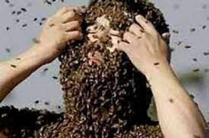 صورة تعبيرية