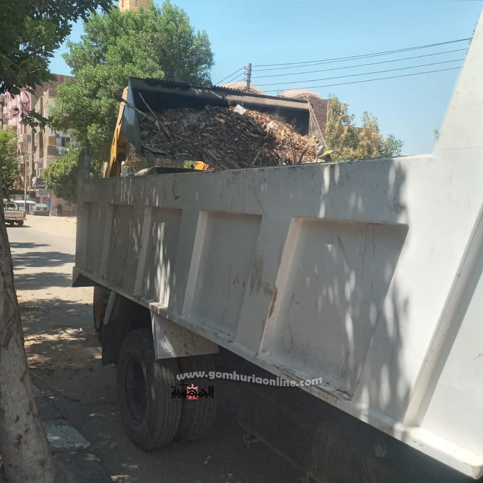 حملة مكبرة للنظافة العامة في مدينة ادفو