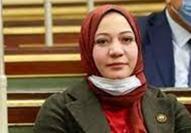 صفاء جابر عيادة عضو مجلس النواب