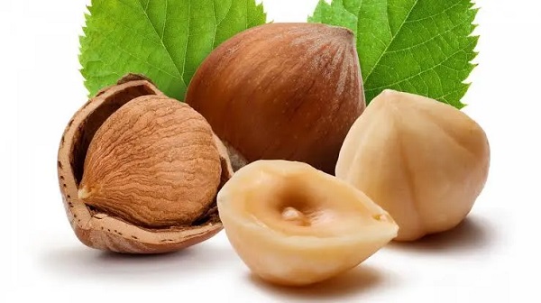 بندق