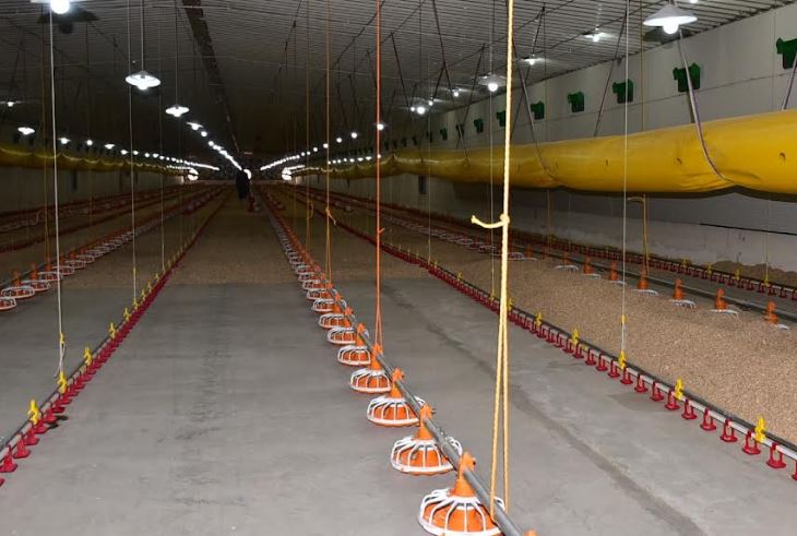 محافظ الأقصر