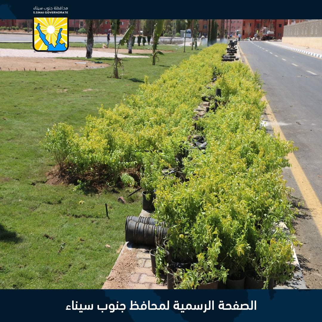 محافظ جنوب سيناء يتابع أعمال اللاند سكيب بنطاق جامعة الملك سلمان بشرم الشيخ