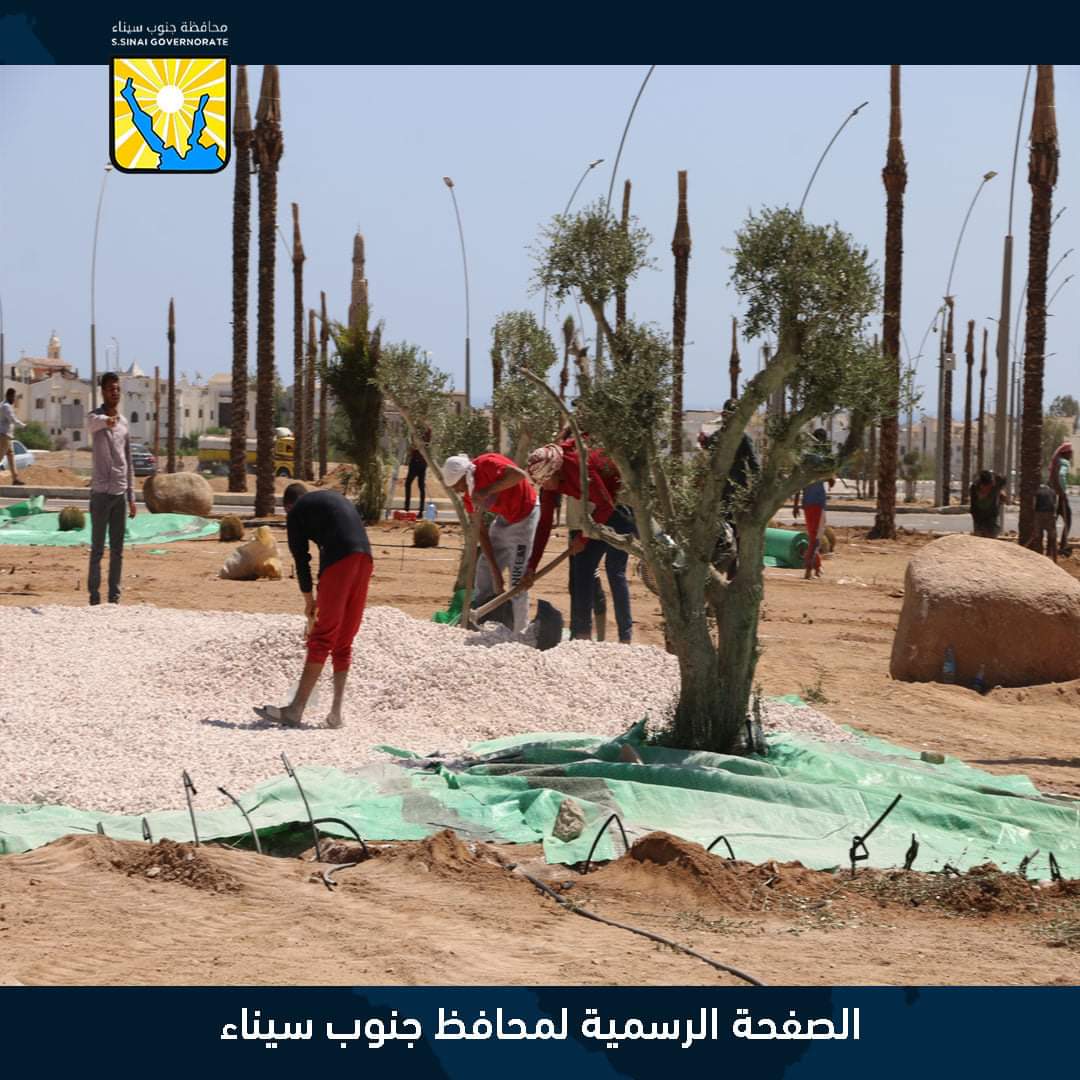 محافظ جنوب سيناء يتابع أعمال اللاند سكيب بنطاق جامعة الملك سلمان بشرم الشيخ