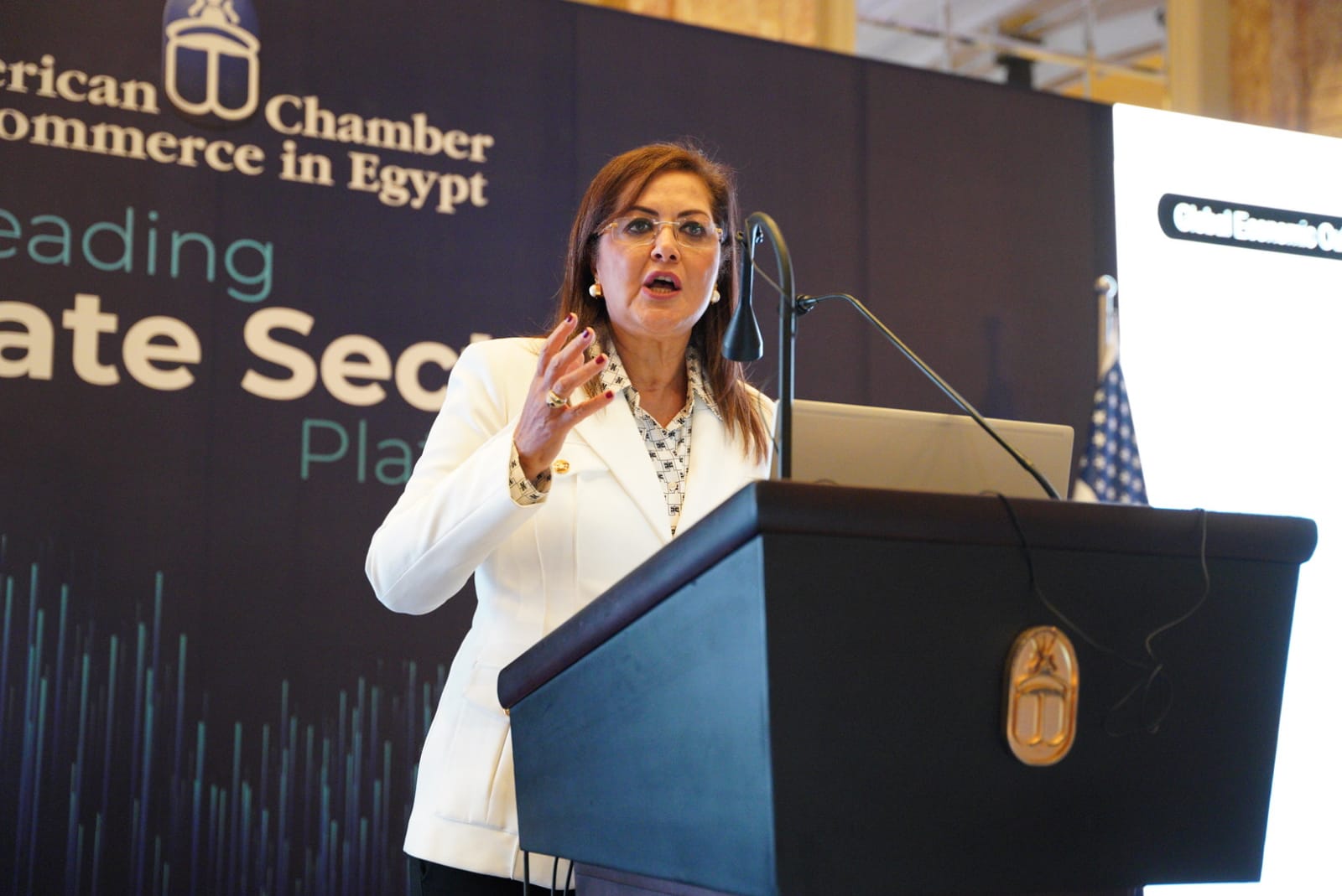 السعيد : ٦.٦ معدل نمو .. والتقدم ١٩ مرتبة في تقرير التنمية البشرية