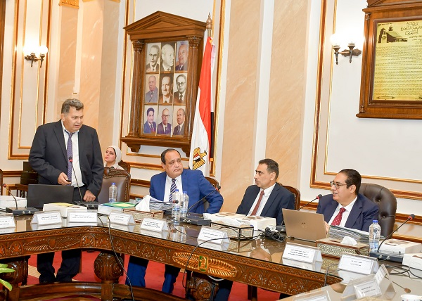 مجلس جامعة القاهرة