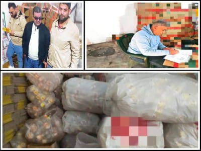 صحة القليوبية
