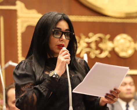 النائبة ريهام عفيفي