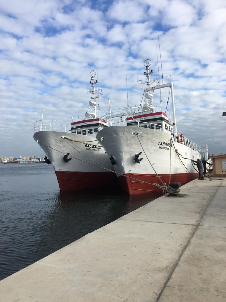 التعليم العالى:تدشين سفينتى الأبحاث اليرموك وسلسبيل