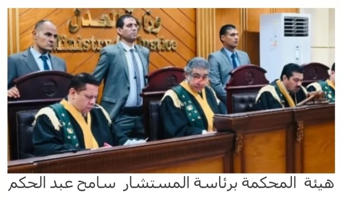 هيئة المحكمة برئاسة المستشار سامح عبد الحكم