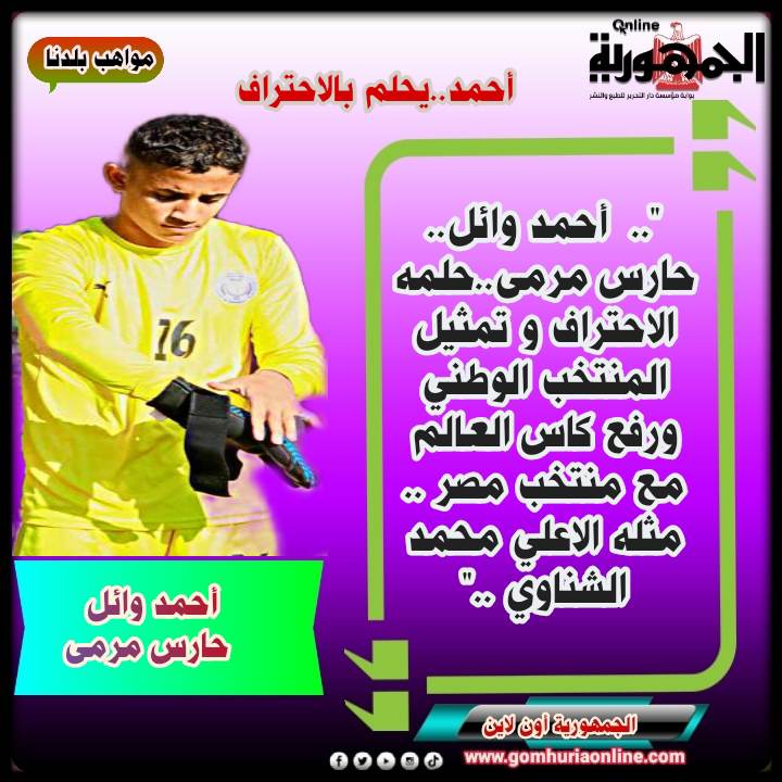 احمد وائل سيد محمد 