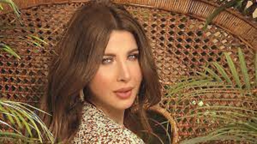 نانسي عجرم