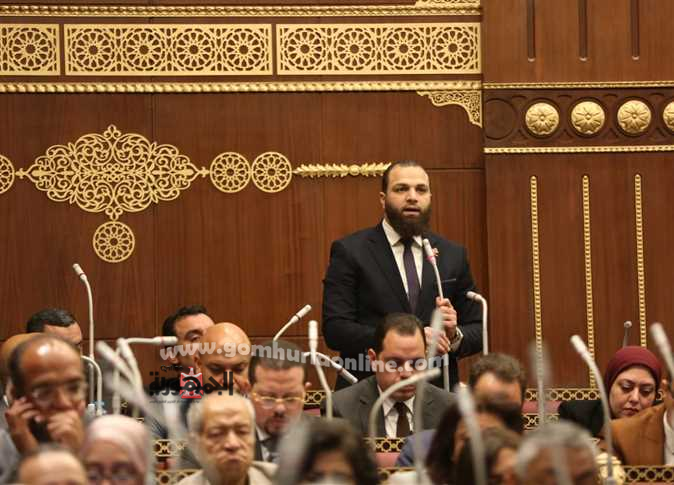 النائب محمود تركى