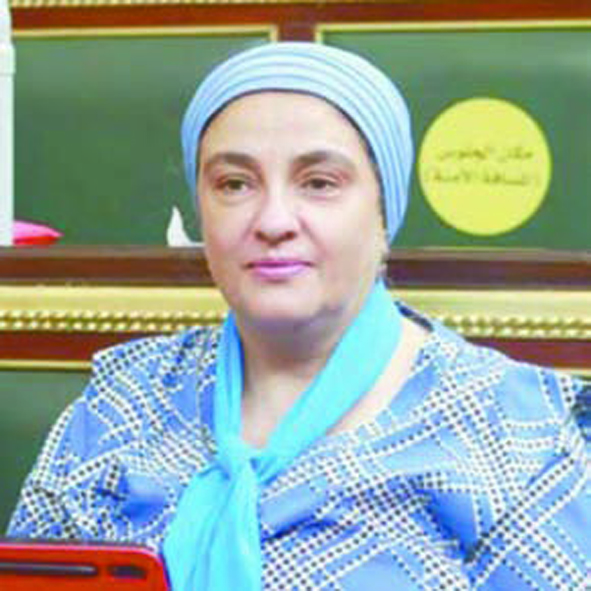 النائبة سميرة الجزار