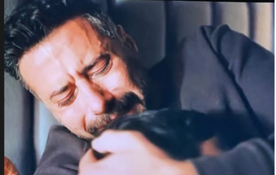 أحمد السعدني 