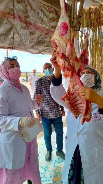 بيطري الشرقية يُحرر 114محضر مخالفة ويضبط 11 طن لحوم و دجاج وأسماك فاسدة    