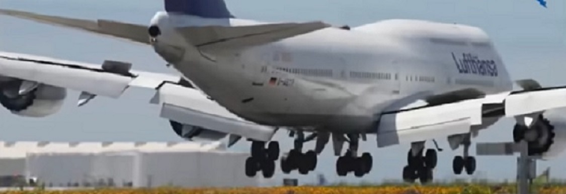 لقطة من الفيديو