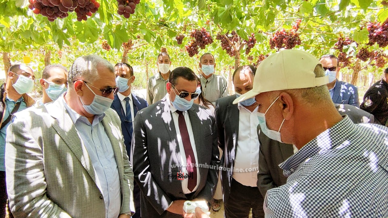 وزير الزراعه بالبحيرة.. انشاء مصانع جديدة ومشروعات صغيرة ومتوسطة لخدمه الانتاج الزراعى 