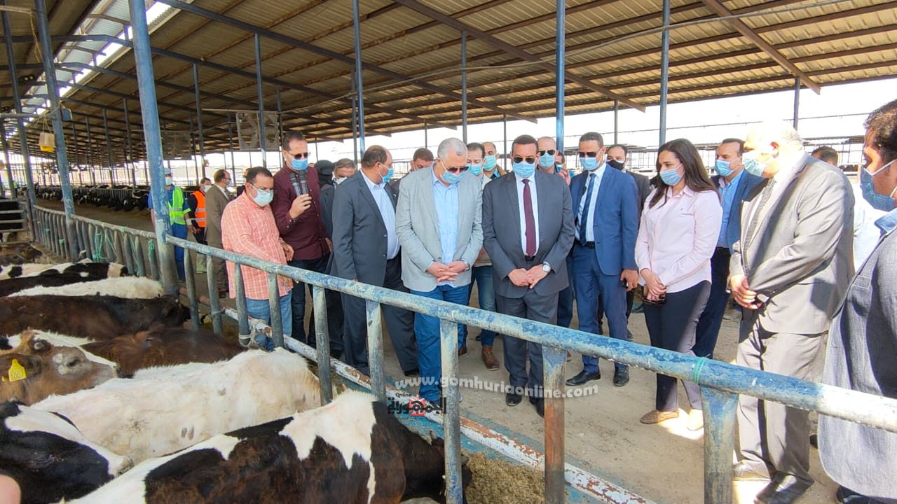 وزير الزراعه بالبحيرة.. انشاء مصانع جديدة ومشروعات صغيرة ومتوسطة لخدمه الانتاج الزراعى 