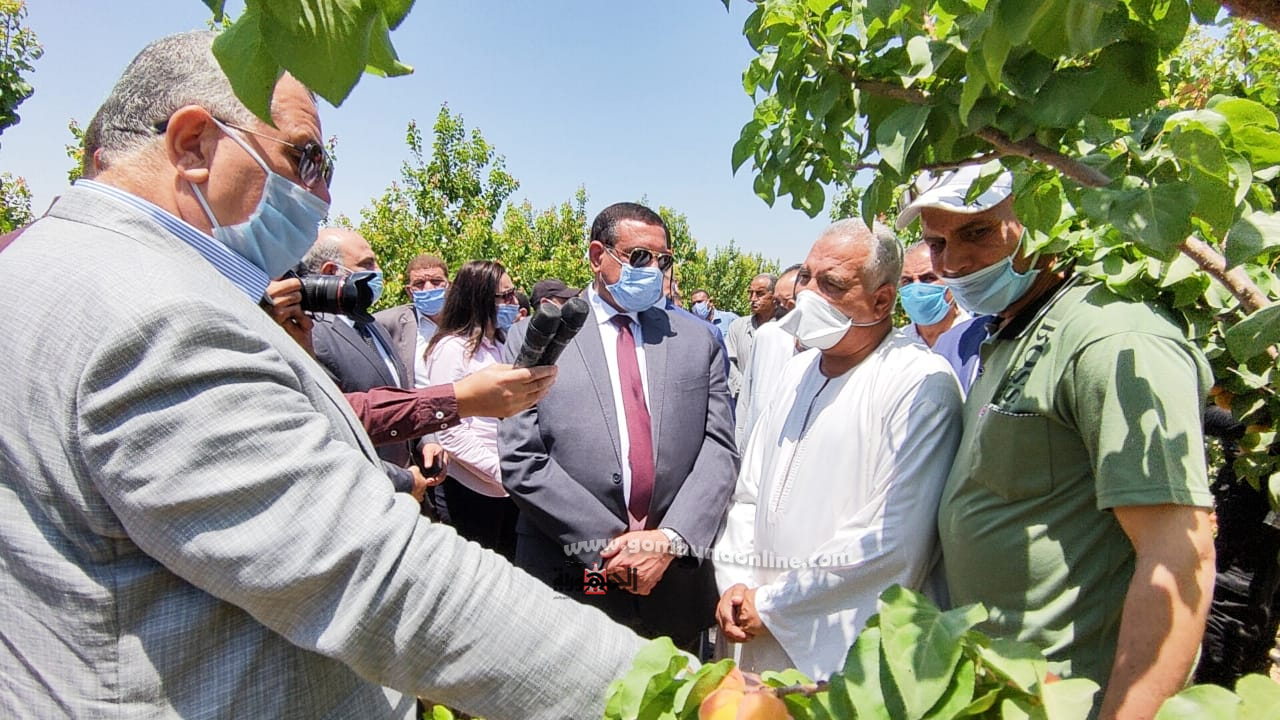 وزير الزراعه بالبحيرة.. انشاء مصانع جديدة ومشروعات صغيرة ومتوسطة لخدمه الانتاج الزراعى 