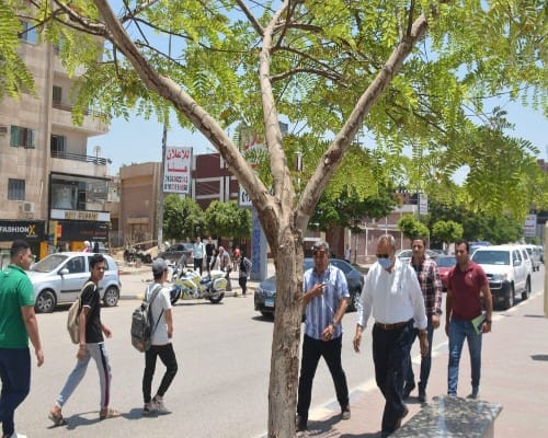 محافظ القليوبية يوجه بإزالة 