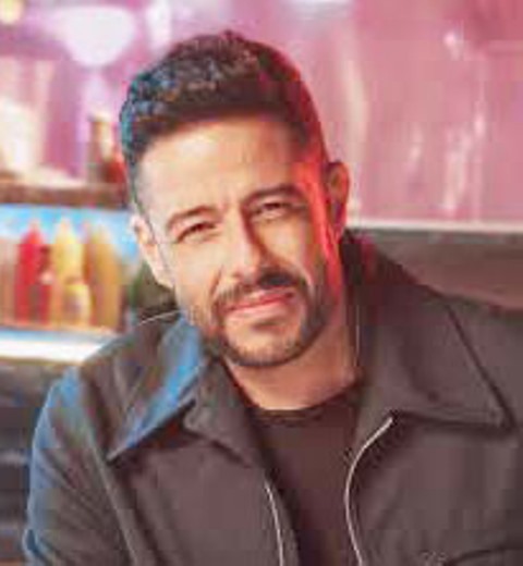 محمد حماقى