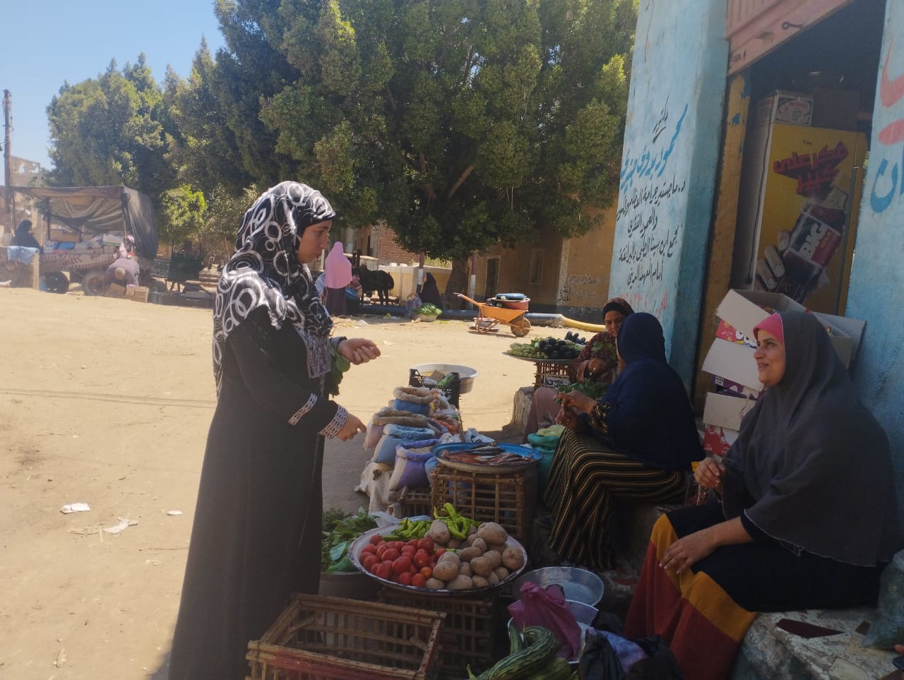 بدء حملة طرق الابواب بقومى المرأه ببنى سويف استعدادا لقمه المناخ cop 27