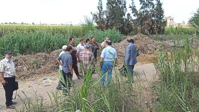  ضبط مزرعة قراميط تتغذى على الحيوانات النافقة وسط الأرض الزراعية في الدقهلية