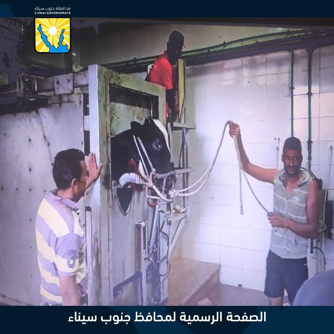 محافظ جنوب سيناء يشهد أعمال رفع كفاءة المجزر الالى بمدينة الطور.. بالصور 