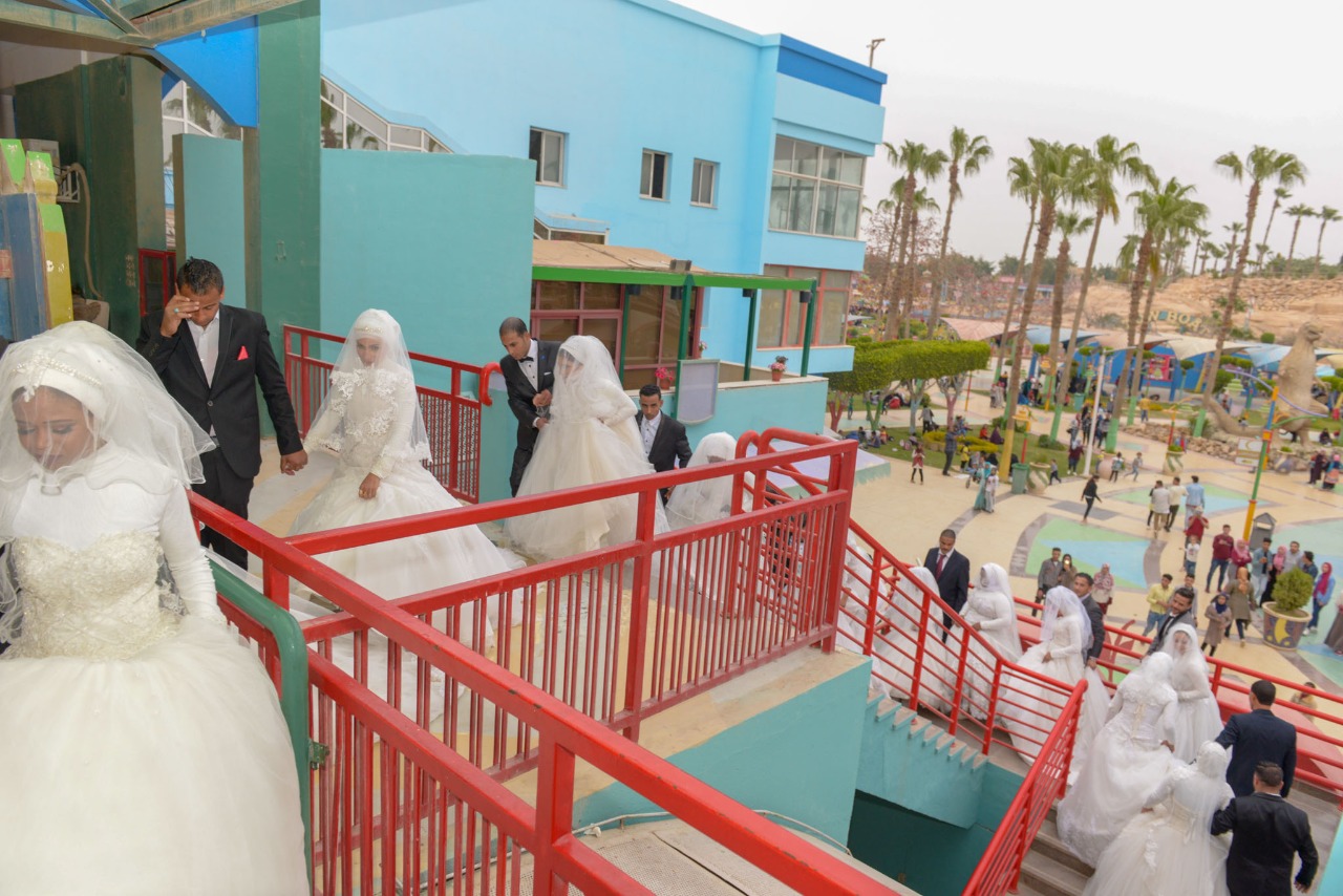 زواج 155 فتاة يتيمة بمطروح