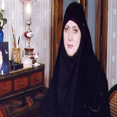 شمس البارودى 