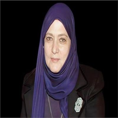 شمس البارودى 
