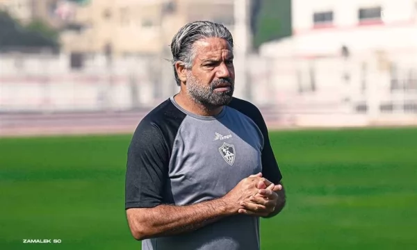 مدحت عبدالهادي