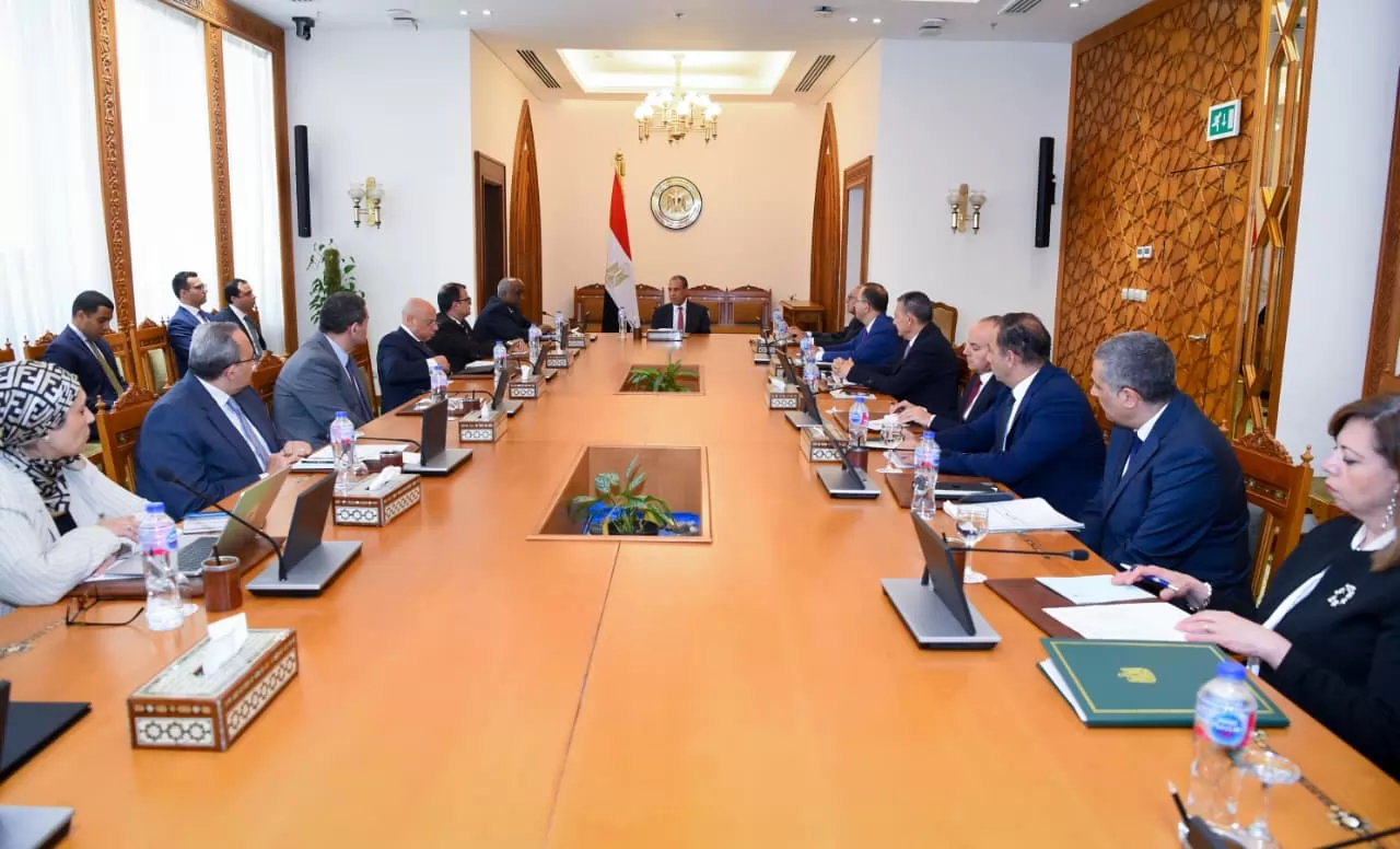 وزير الخارجية بدر عبدالعاطي 