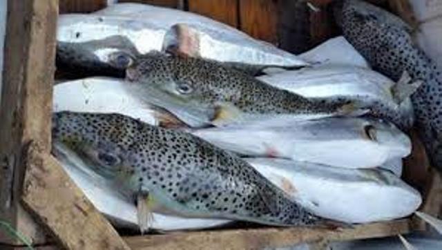 تحذير المركز