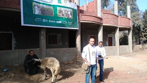 مصر الخير تنظم قافلة بيطرية  لعلاج المواشي بالمجان بالمنوفية