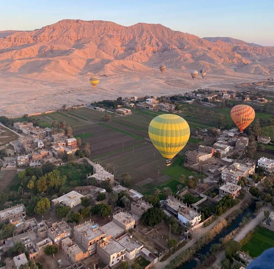 ارشفية