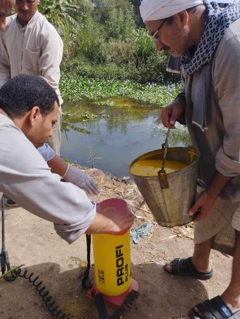 فحص وعلاج 5154 مجري مائي لمكافحة ناقلات ومسببات الأمراض بالمنيا