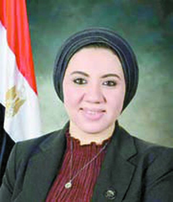 النائبة أميرة صابر عضو مجلس النواب